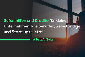 Малюнок петиції:#SeiteAnSeite: Soforthilfen & Kredite für kleine Unternehmen, Freiberufler, Selbständige & Startups