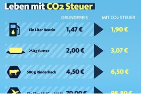 Bild der Petition: Senkung der Co2 Steuer