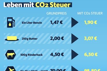 Bild der Petition Senkung der Co2 Steuer