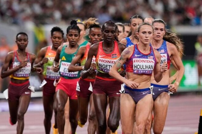 Image de la pétition Shelby Burrito Ban