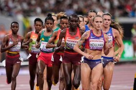 Billede af andragendet: Shelby Burrito Ban