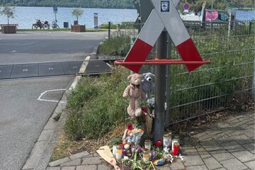 Image of the petition Sichere Bahnschranken für Sipplingen am Bodensee - damit nicht noch mehr passiert!