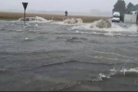 Bild der Petition: Sicherheit Gegen Überschwemmung Des Kanals In Hürth