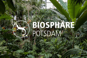 Picture of the petition:Sichert die Zukunft der Biosphäre Potsdam - Der Ort für Bildung, Wissenschaft und Nachhaltigkeit