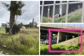 Image of the petition: Sign Petition: Blomtuin Residents Demand Urgent Action On The Damaged N1 Boundary Fence