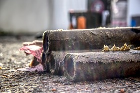 Bild der Petition: Silvesterfeuerwerk abschaffen, oder zumindest zeitlich eingrenzen