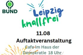 Dilekçenin görseli: Silvesterfeuerwerk in Leipzig beschränken