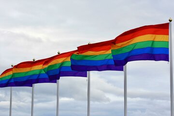 Bild der Petition Situation von trans* Menschen an der Uni Magdeburg und der Hochschule Magdeburg - Stendal verbessern