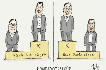Bild der Petition Söder statt Laschet - Kanzlerkandidat nach Willen des Volkes !!!