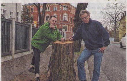 Bild der Petition: Sofortige Ersatzpflanzung für gefällte Alleenbäume im östlichen Preußischen Viertel