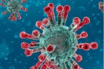 Image of the petition Sofortige Notfallzulassung des BionTech-Pfizer-Impfstoffs