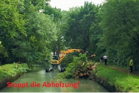 Bild der Petition: Sofortiger Abholzungsstopp am Augsburger Herrenbach!