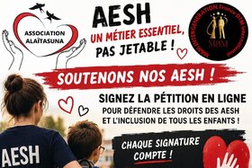 Image de la pétition : Solidarités pour les AESH
