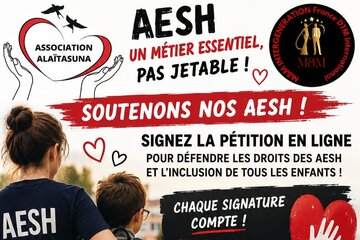Image de la pétition Solidarités pour les AESH