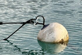 Image of the petition: Spitalseelsorge im Kanton Solothurn erhalten