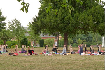 Bild der Petition Sport / Yoga im Freien in Hessen erlauben