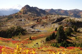 Peticijos nuotrauka:Spring Creek parcel change could have large impact on current residents