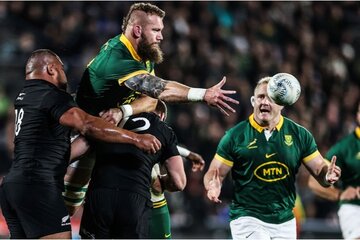 Image of the petition Springboks and latest science again show momentum in sport is overrated