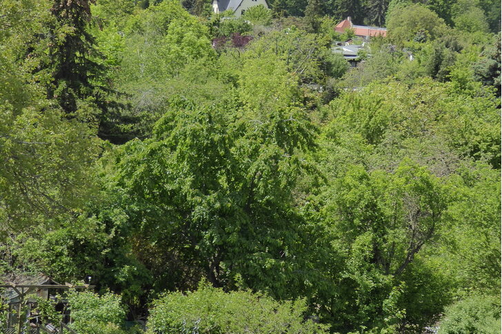 Stadt Halle (Saale) Erhalt des Naherholungsgebietes Galgenberg