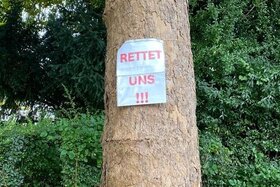 Bild der Petition: Stadtgrün statt Parkhausgrau für Emmendingen!