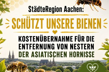 Bild der Petition StädteRegion Aachen: Schützt unsere Bienen !
