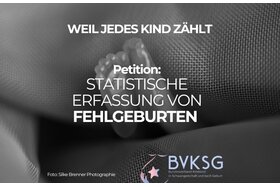 Изображение петиции:Statistische Erfassung von Fehlgeburten