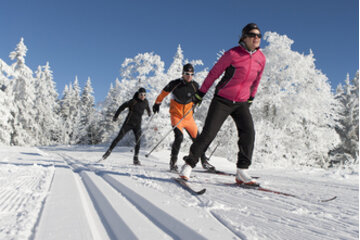 Bild der Petition Steibinger Loipe