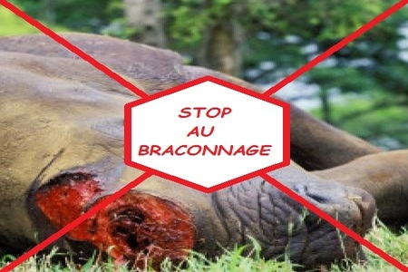 Foto da petição:Stop Au Braconnage Des Rhinoceros