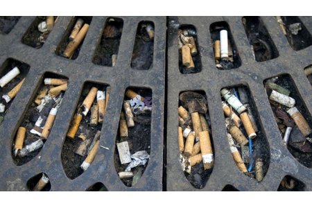 Kuva vetoomuksesta:STOP Cigarettes buds polluting our streets