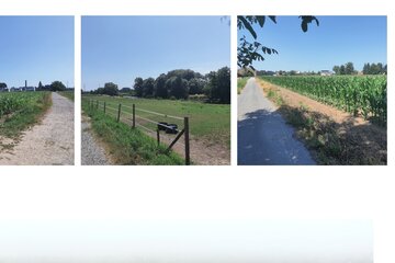 Image of the petition Stop de megaverkavling in Senteboas! Nu!