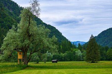 Bild der Petition Stop des Baugebietes Kastl Süd II im Landschaftsschutzgebiet Fl.Nr. 577, 575, 575,2 Gmk. Kastl