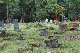 Image of the petition: Stop German troops desecration of Jewish graves in Lithuania