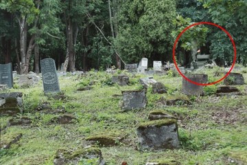 Image of the petition Stop German troops desecration of Jewish graves in Lithuania