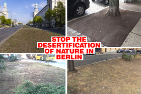 Imagen de la petición:Stop killing nature in the city of Berlin