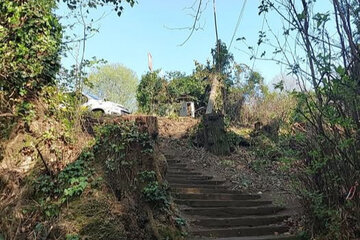 Immagine della petizione Stop taglio alberi a Fiuggi