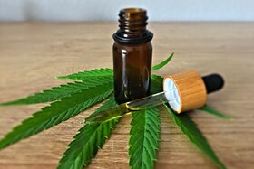 Image of the petition: Stop Targeting Legitimate CBD Companies