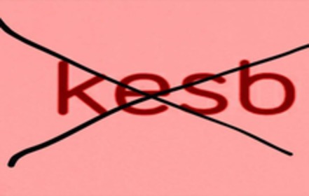 Picture of the petition:Stopp Der Kesb