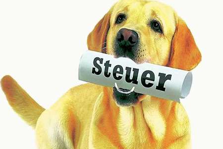 Bild der Petition: Stopp der unethischen Hundesteuer!