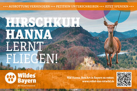 Foto van de petitie:Stopp die Ausrottung des Rotwilds in Bayern!