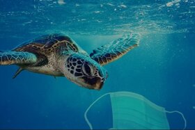 Bild der Petition: Stopp mit Plastik: Wir fordern bioabbaubares Material für Antigen Rapid Tests!