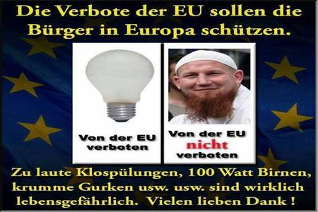 Slika peticije:Stoppen wir die Verteilaktionen der Salafisten in ganz Österreich!!!!