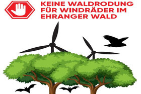 Малюнок петиції:Stoppen wir ZUSAMMEN das Roden des Pfalzeler / Ehranger Waldes für Windkraftanlagen