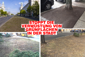 Bild der Petition: Stoppt das Grünflächenamt Berlin vor der Verwüstung öffentlicher Plätze