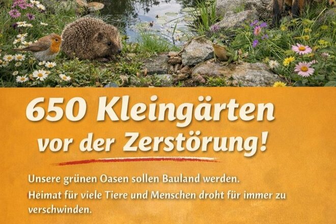 청원서 이미지 Stoppt das KEK26+ – Rettet Hannovers Kleingärten!