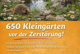 Изображение петиции: Stoppt das KEK26+ – Rettet Hannovers Kleingärten!