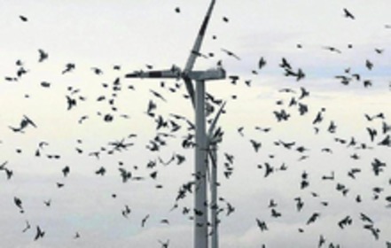 Bild der Petition: Stoppt den Ausbau des Windparks A2 Hamm/ Weetfeld
