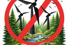 Bild der Petition: Stoppt den Bau von 4 Windrädern im Pöllwitzer Wald