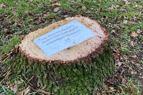 Bild der Petition: Stoppt den Bau von zusätzlichen Parkplätzen gegenüber der Kindertagesstätte Zauberwald