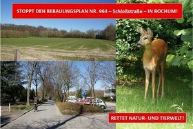 Bild der Petition: STOPPT DEN BEBAUUNGSPLAN NR. 964 – Schloßstraße – IN BOCHUM!