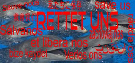 Bild der Petition: Stoppt den Delfin - Mord in Taiji